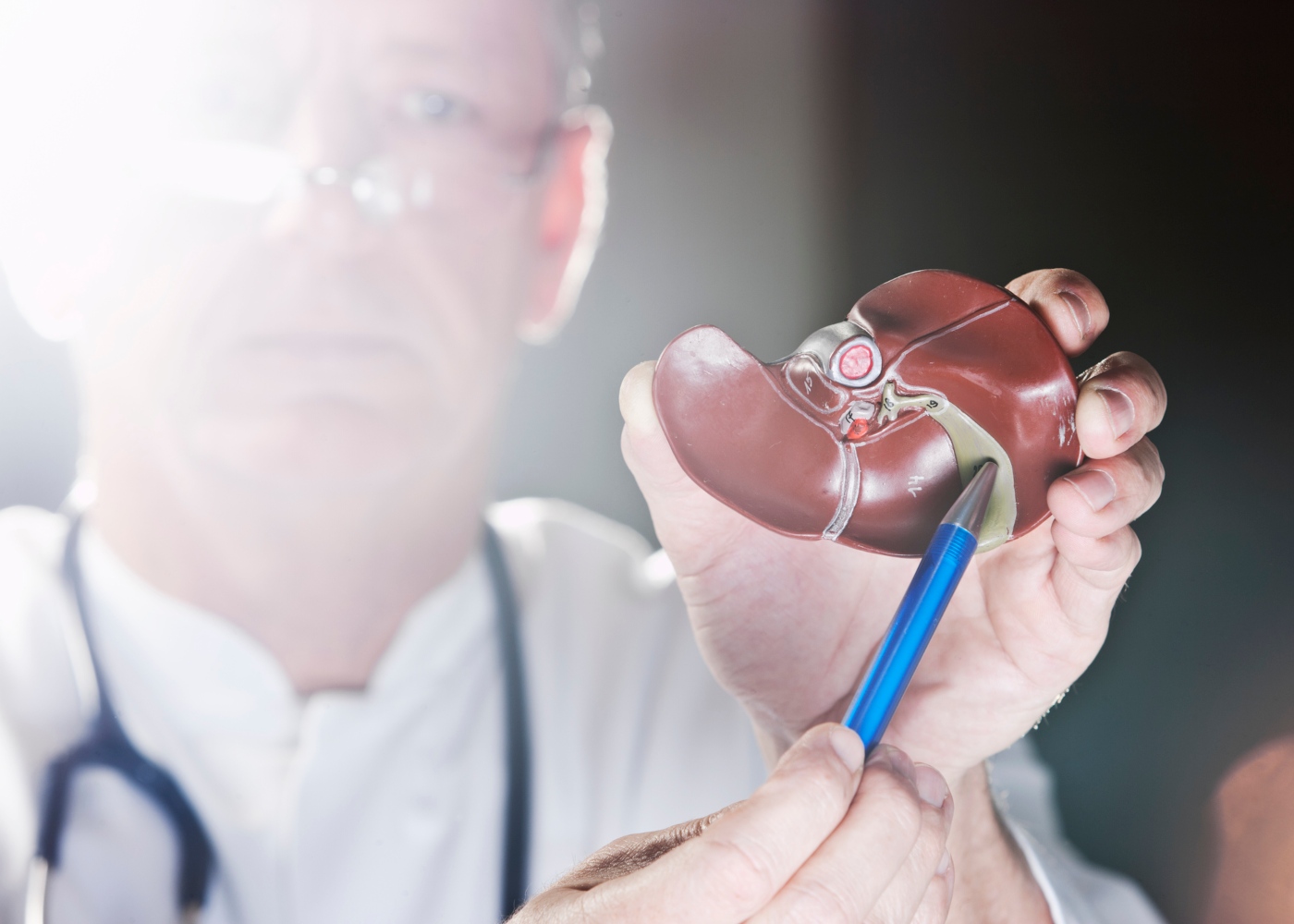 médico a mostrar vesícula