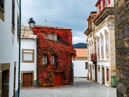 Aldeia de Provesende