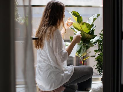 Mulher jovem cuida de planta de interior