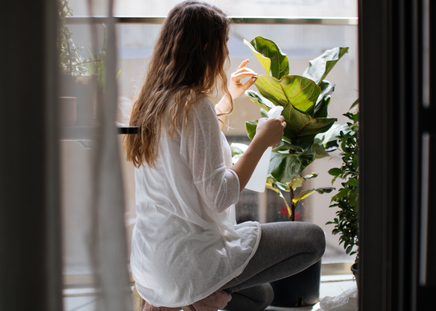 Mulher jovem cuida de planta de interior