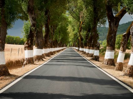 o que visitar no Alentejo