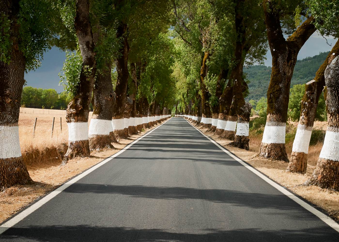 estrada para o marvão