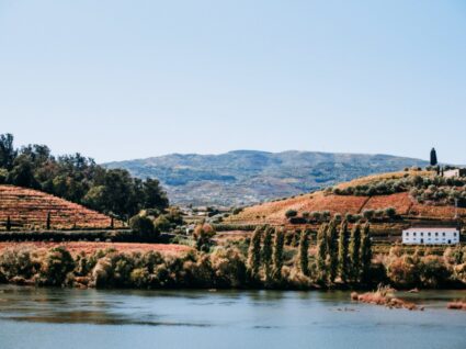 Hotéis no Douro para uma escapadinha