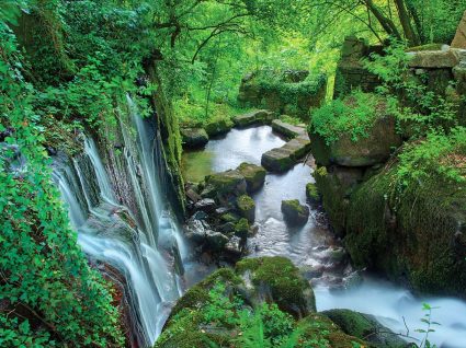 Aspecto da Cascata do Fojo