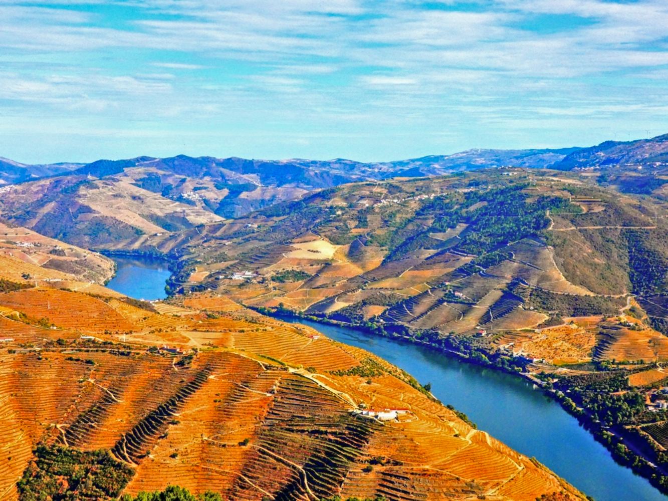 Paisagem do Douro vinhateiro