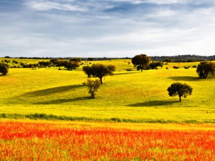 Turismo rural no alentejo