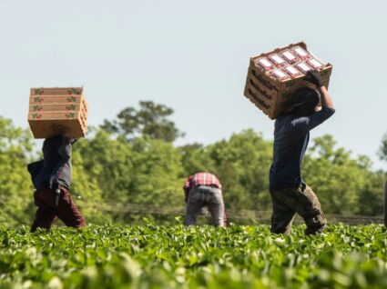 trabalhadores estrangeiros