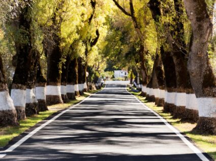 estrada para castelo de vide