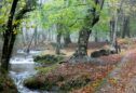 caminhadas no gerês