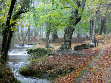 caminhadas no gerês