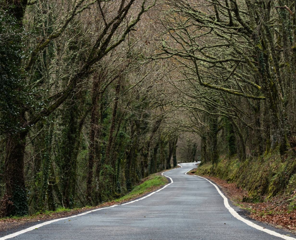 Estrada para a Ribeira Sacra