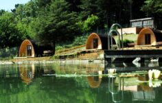 pods no parque biológico de vinhais