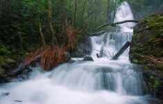 Cascata na serra do Espinhal