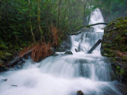 Cascata na serra do Espinhal