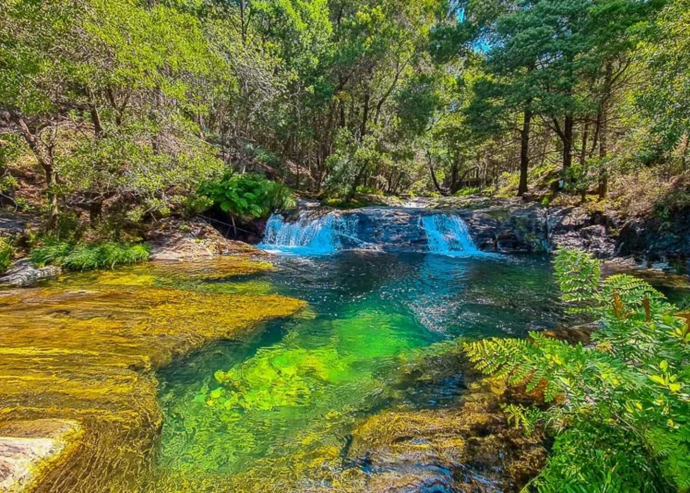 pormenor da Lagoa da Esturranha