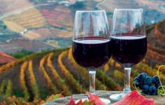 copos de vinho do porto