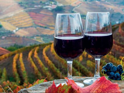copos de vinho do porto