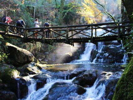 ponte no parque ribeiro sampaio