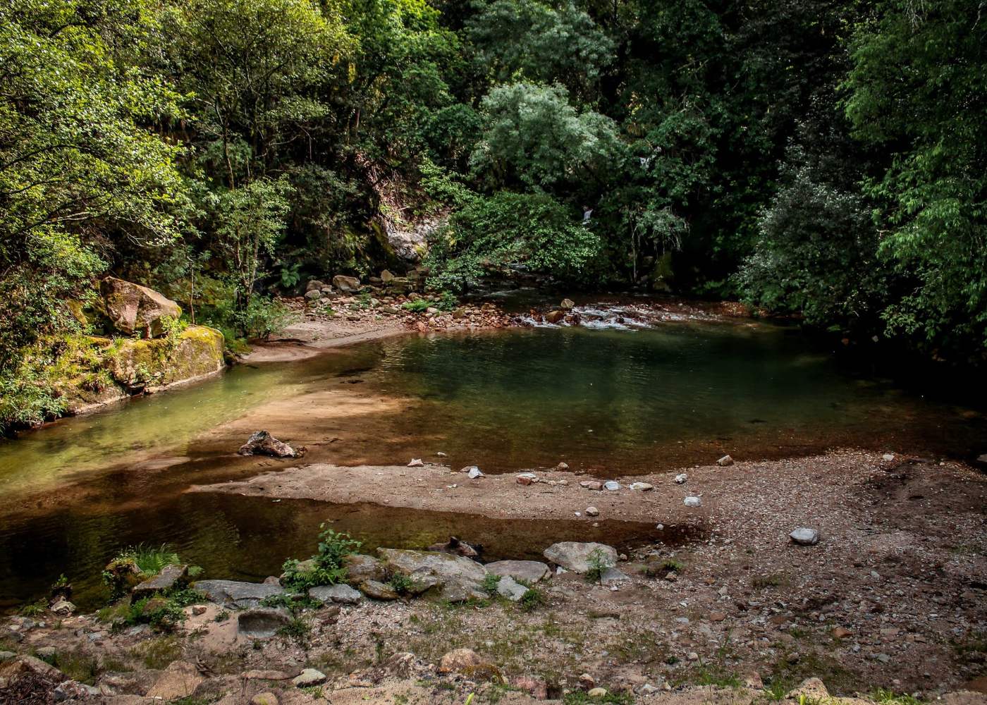 lagoa no parque ribeiro sampaio
