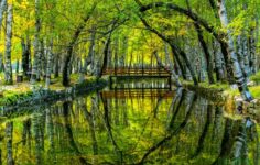 Covão d'ametade na serra da estrela