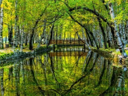 Covão d'ametade na serra da estrela