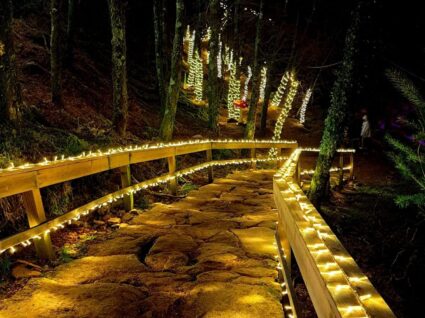floresta encantada em arcos de valdevez