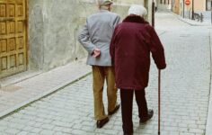 complemento solidário para idosos