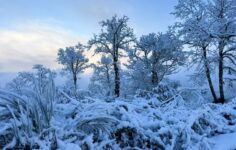 neve na serra do larouco