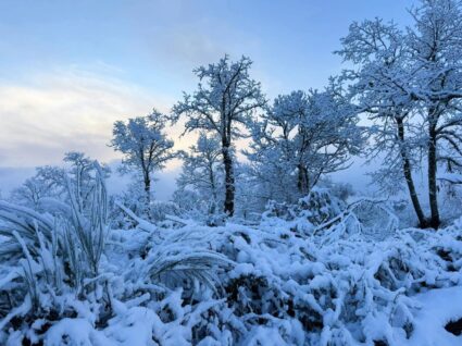 neve na serra do larouco