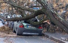 danos por desastres naturais