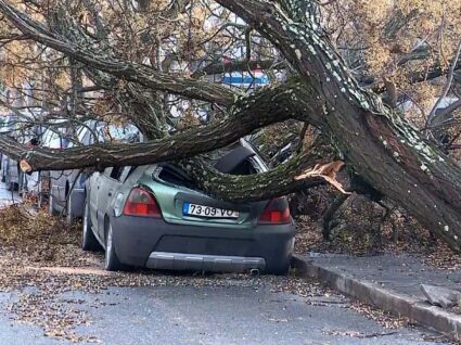 danos por desastres naturais