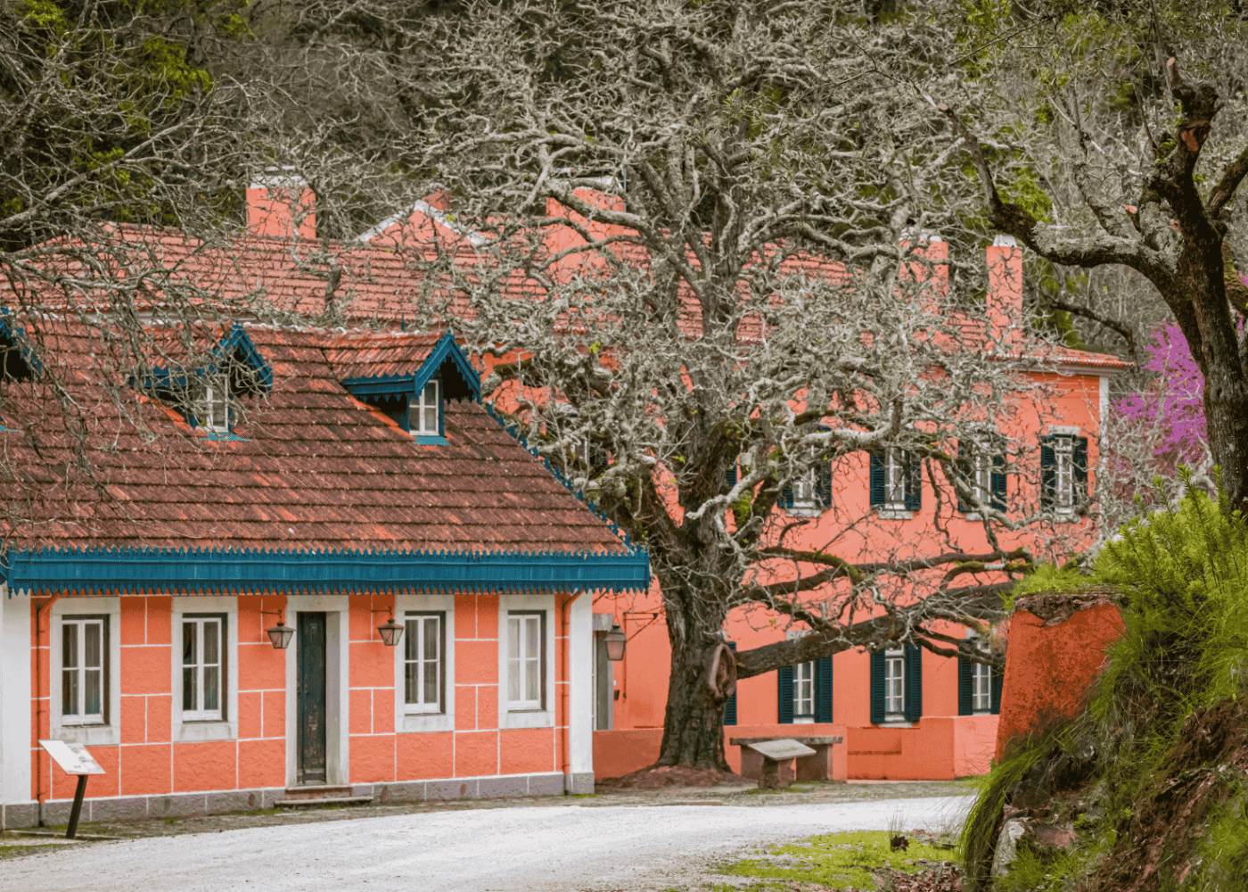 casa da tapada de mafra