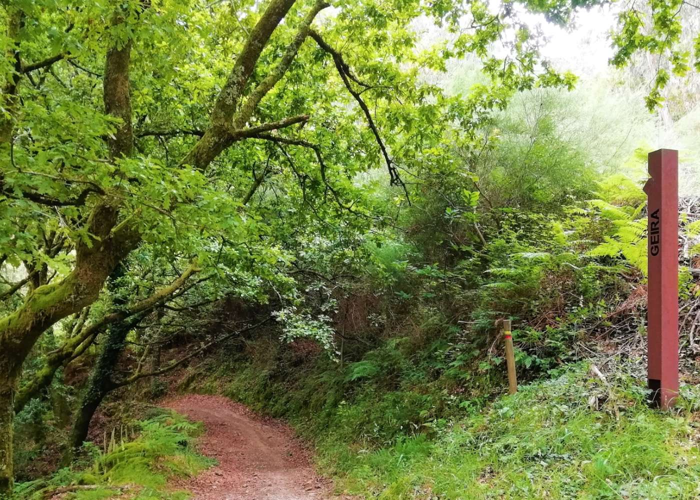 parte do caminho da geira