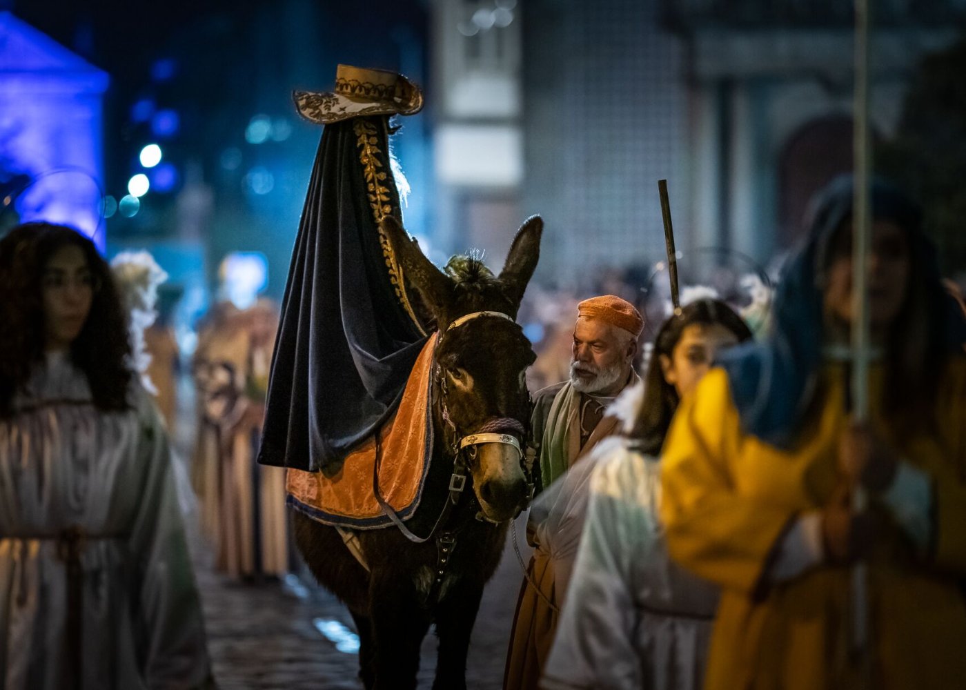 procissão da burrinha em Braga