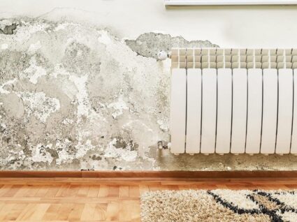 infiltrações de água