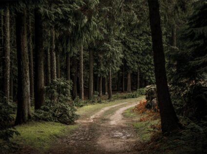 Trilho caminho dos Mortos