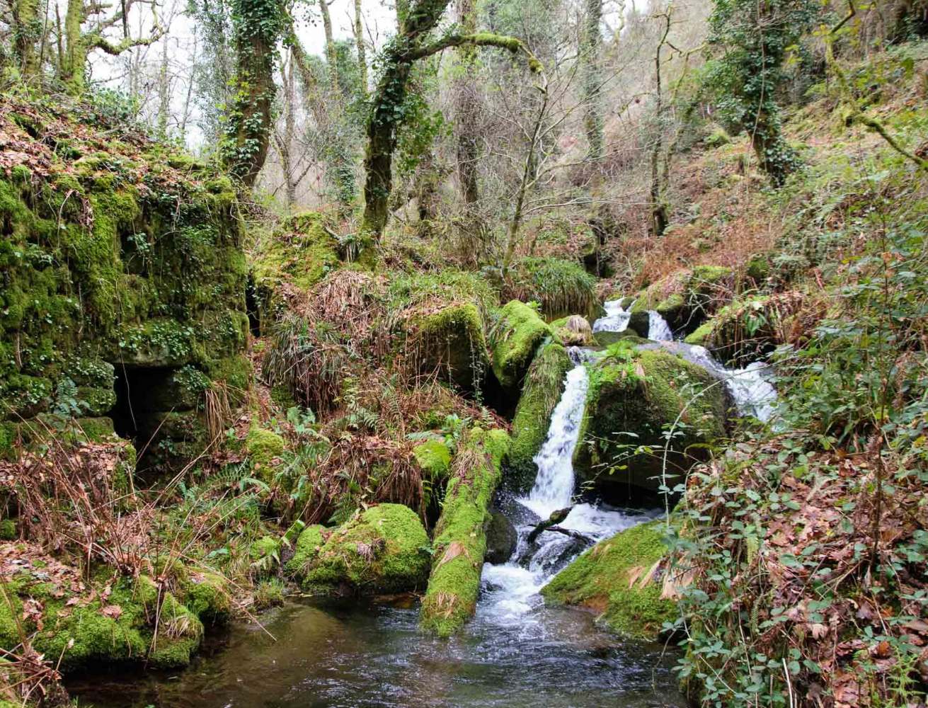 ribeira no caminho dos mortos