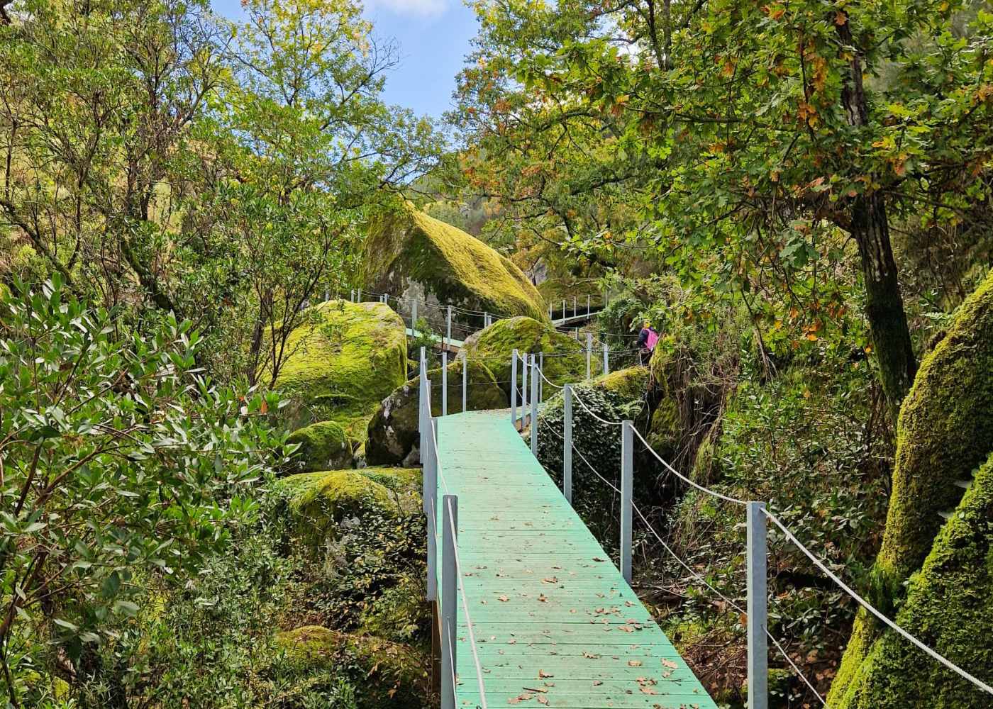 subida no trilho dos gaios