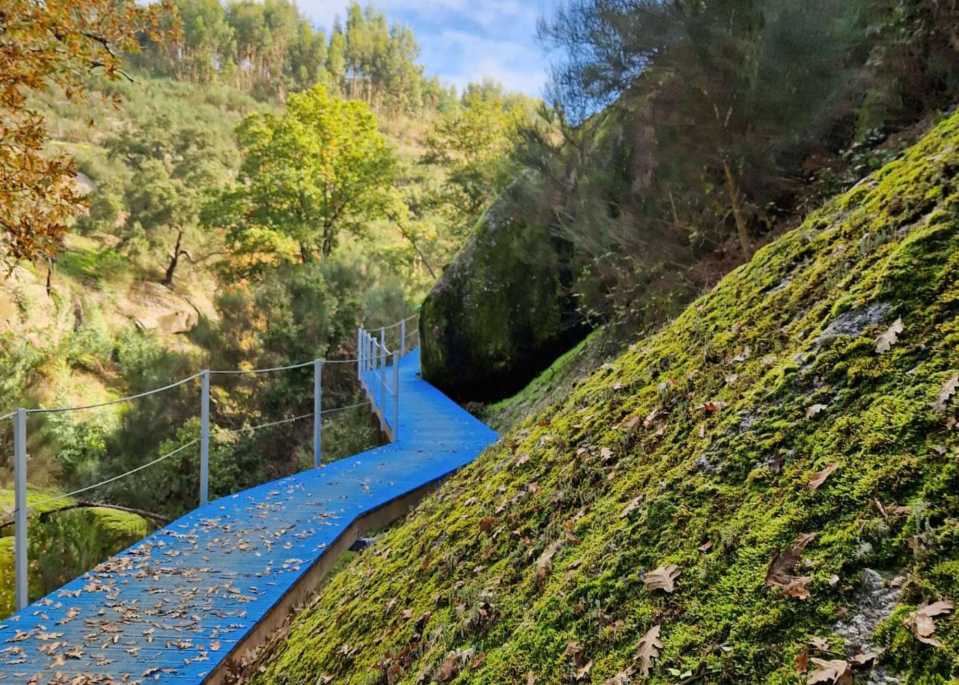 passadiço azul no trilho dos Gaios