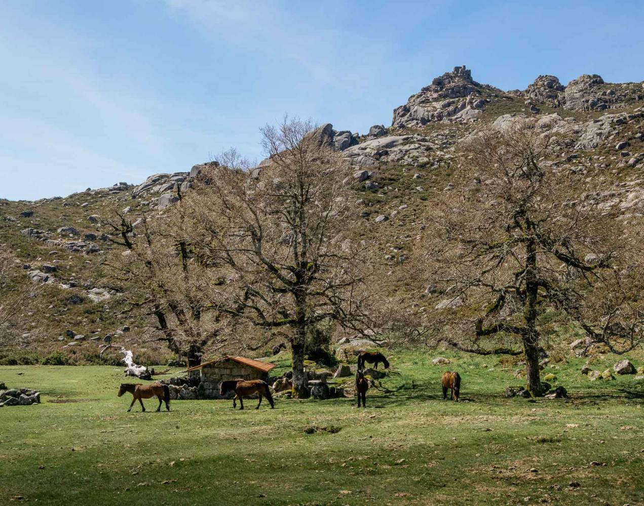 vista dos Prados da Messe