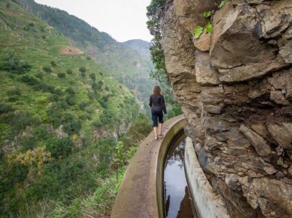 Levadas da madeira