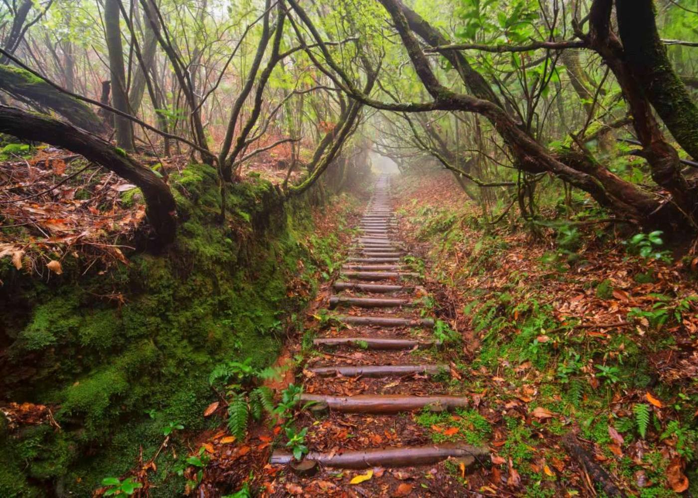 escadaria nas levadas
