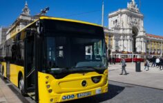 Transportes públicos gratuitos