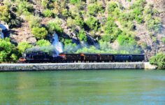 comboio histórico do douro