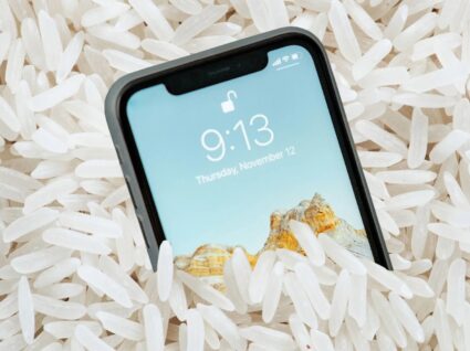 Iphone em arroz
