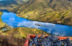 rota dos vinhos do douro e do porto
