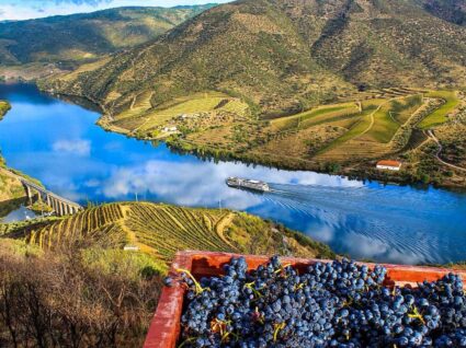 rota dos vinhos do douro e do porto