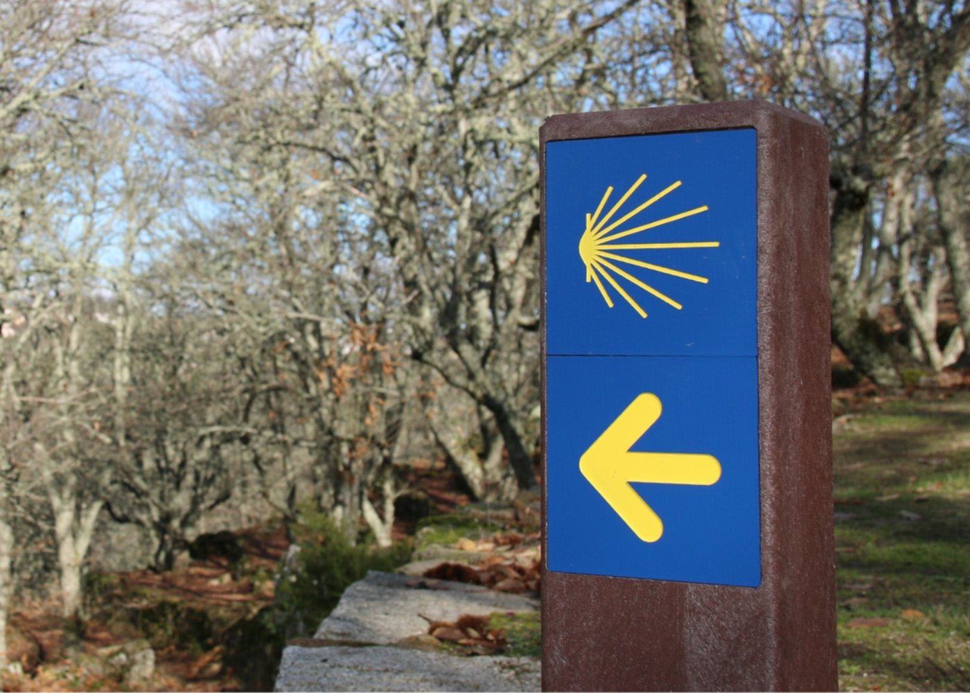 caminho de santiago