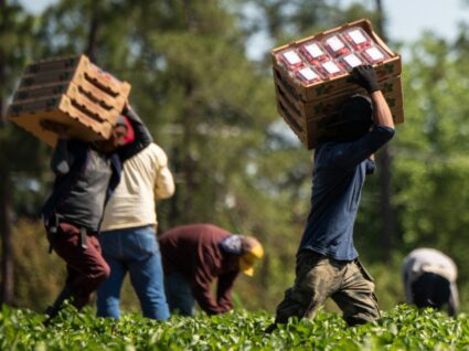 segurança social para imigrantes