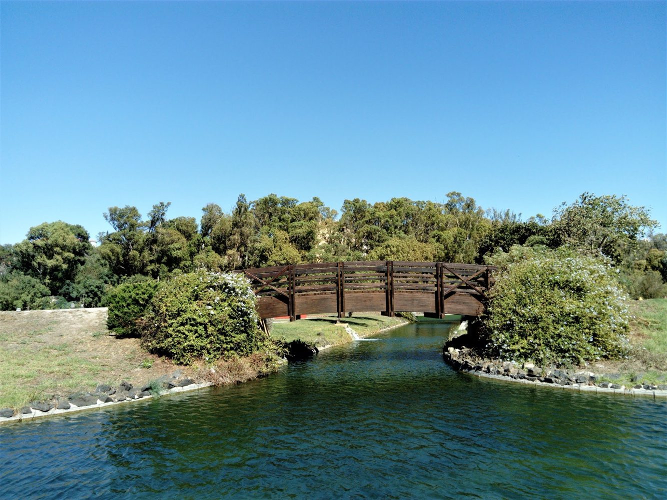 ponte no jamor
